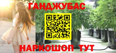 гашик Кандалакша