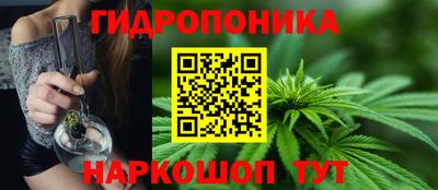 гашик Кандалакша